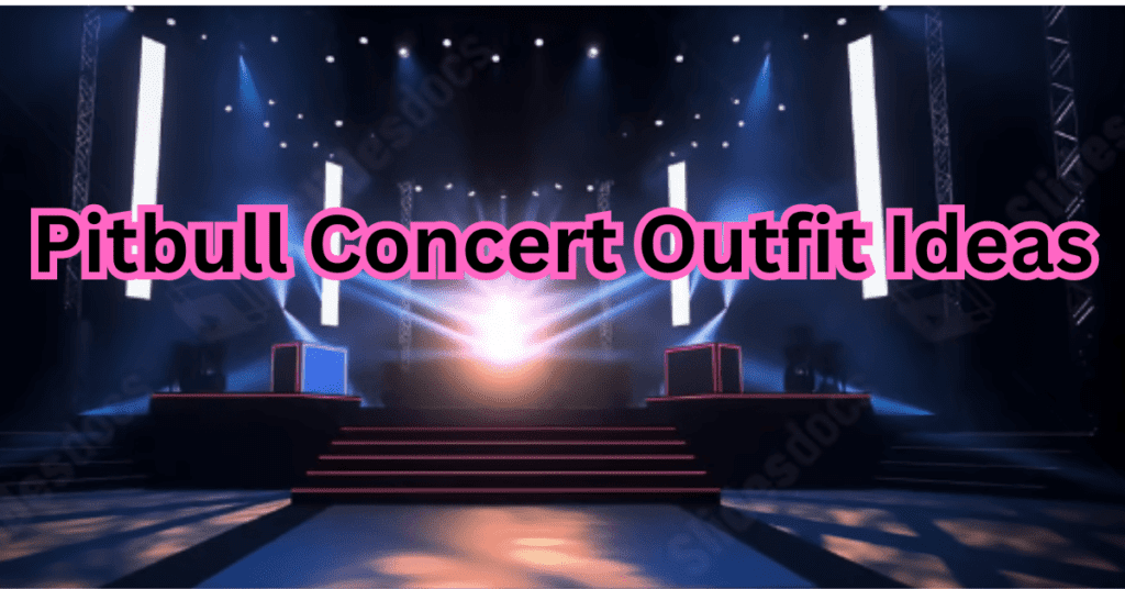 Pitbull Concert Outfit Ideas